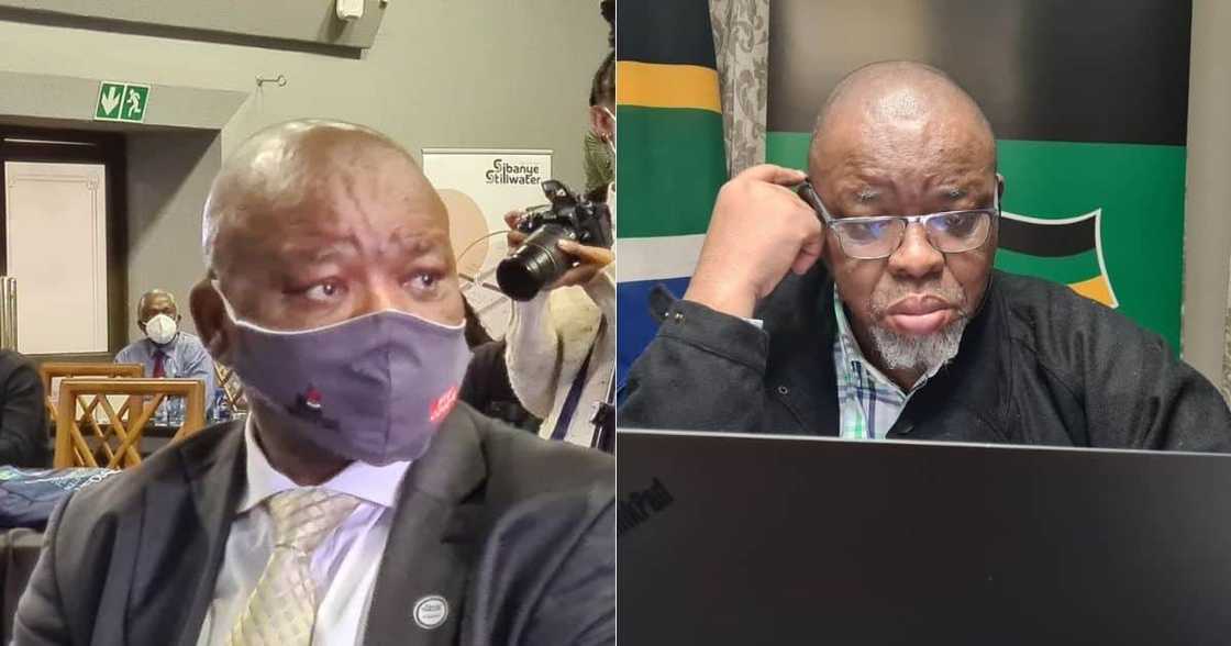 Gwede Mantashe, alliance partners, embrace, radical economic transformation