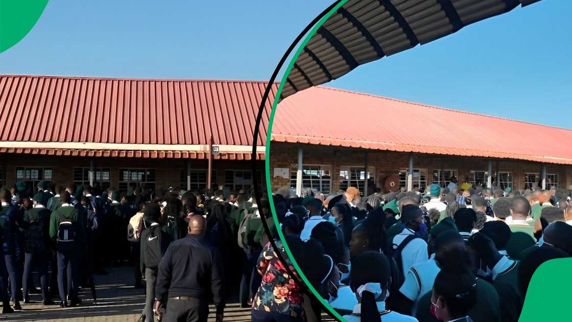 High school dagga house busted as man arrested for selling to pupils, mostly girls