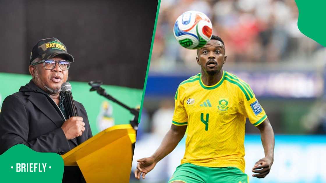 Fikile Mbalula, ANC, Bafana Bafana, Teboho Mokoena