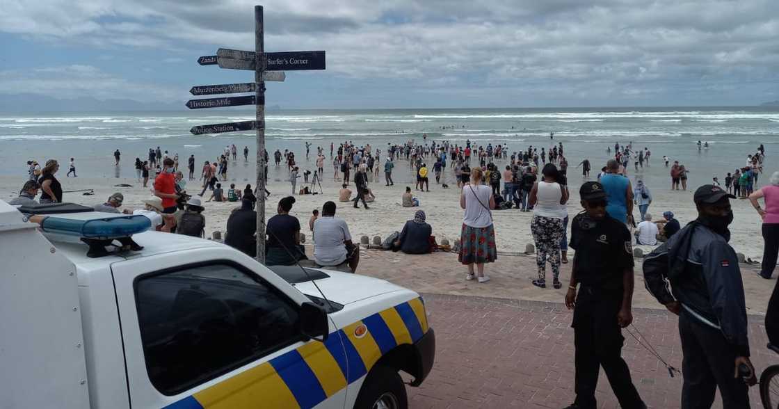 EFF accuses the police of racism in their handling of beach protests EFF accuses the police of racism in their handling of beach protests