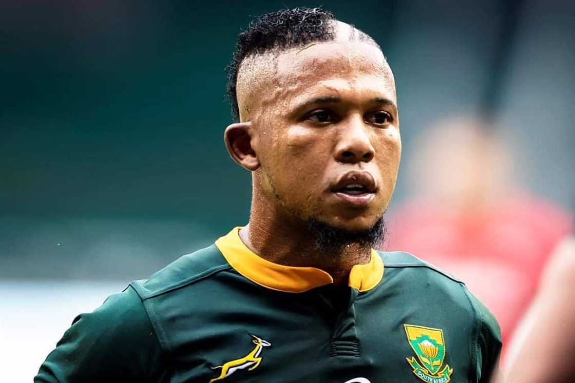 springbok players springbok players