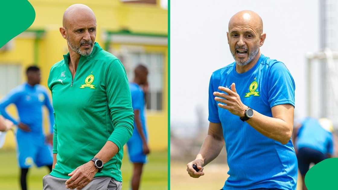 Mamelodi Sundowns coach Miguel Cardoso could make his first signing at the club. Mamelodi Sundowns coach Miguel Cardoso could make his first signing at the club.