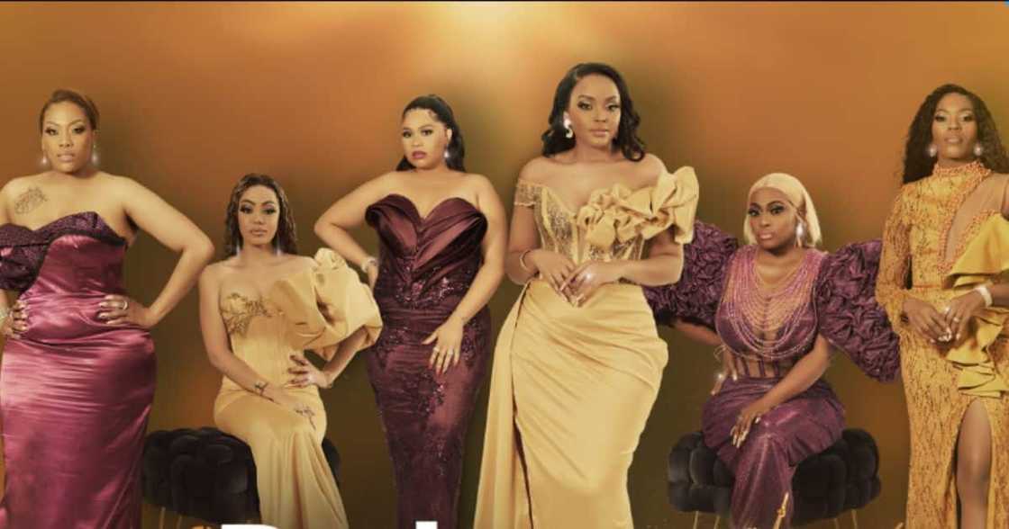 The cast of The Real Housewives of Johannesburg The cast of The Real Housewives of Johannesburg