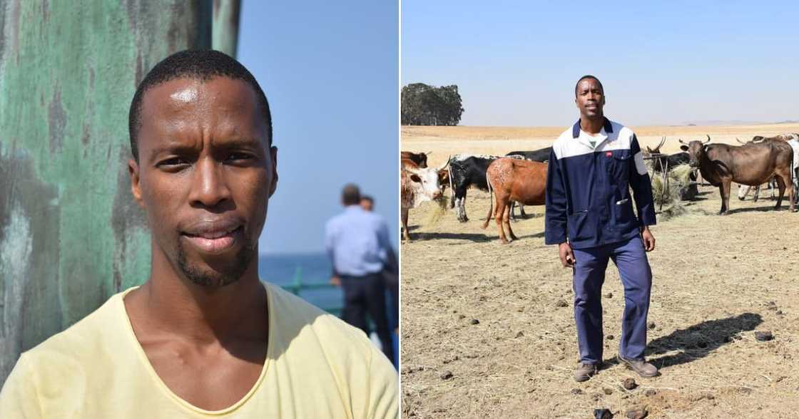 Soldier, farmer, Nguni, Zulu, tradition, culture, social media, Mzansi Soldier, farmer, Nguni, Zulu, tradition, culture, social media, Mzansi