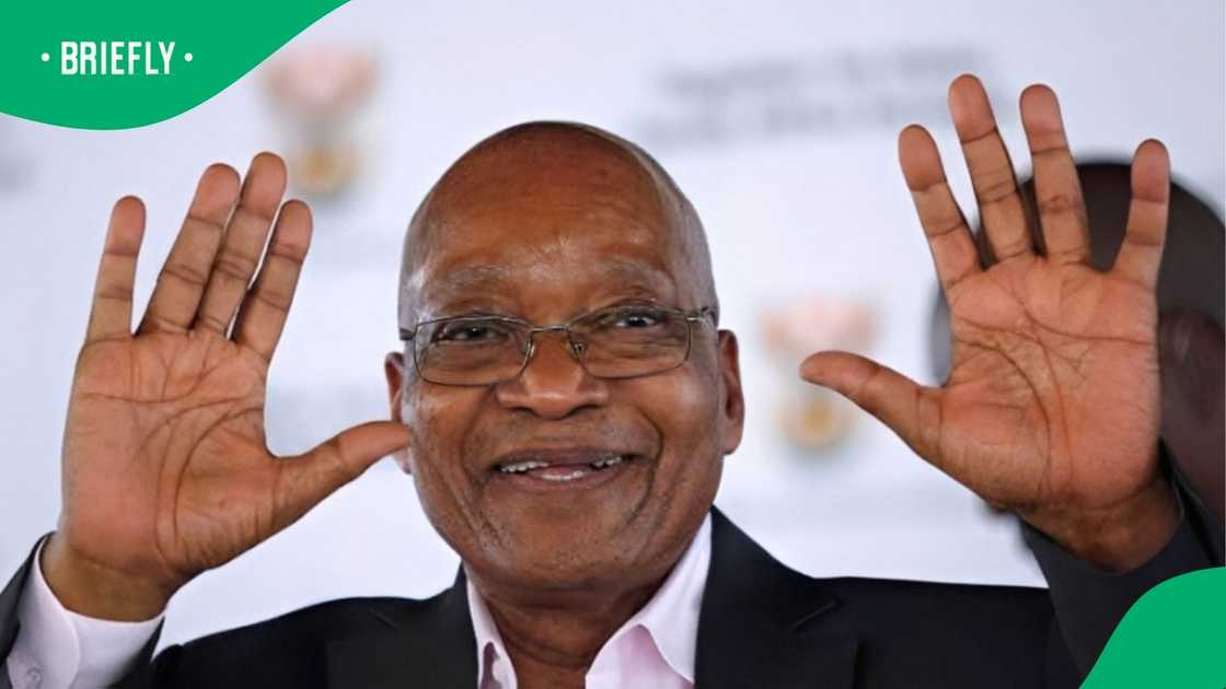 A man impersonated Jacob Zuma as an owl. A man impersonated Jacob Zuma as an owl.