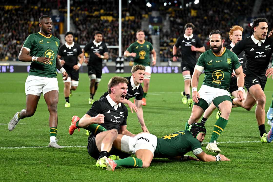 Springboks, South Africa, Jordie Barrett, New Zealand