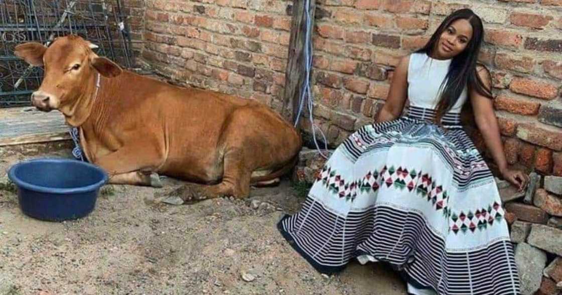 Bride, Lobola, Proof of Payment, Mzansi Bride, Lobola, Proof of Payment, Mzansi