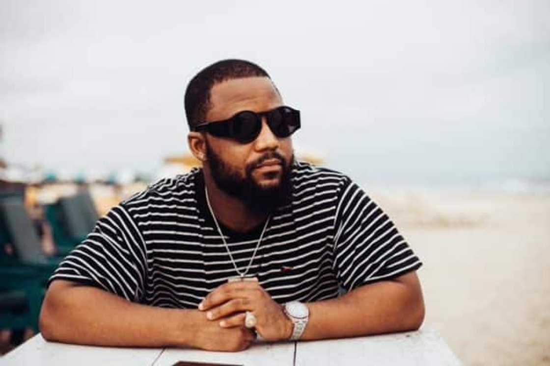 family tree records
family tree cassper nyovest
family tree record label
family tree media
cassper nyovest record label