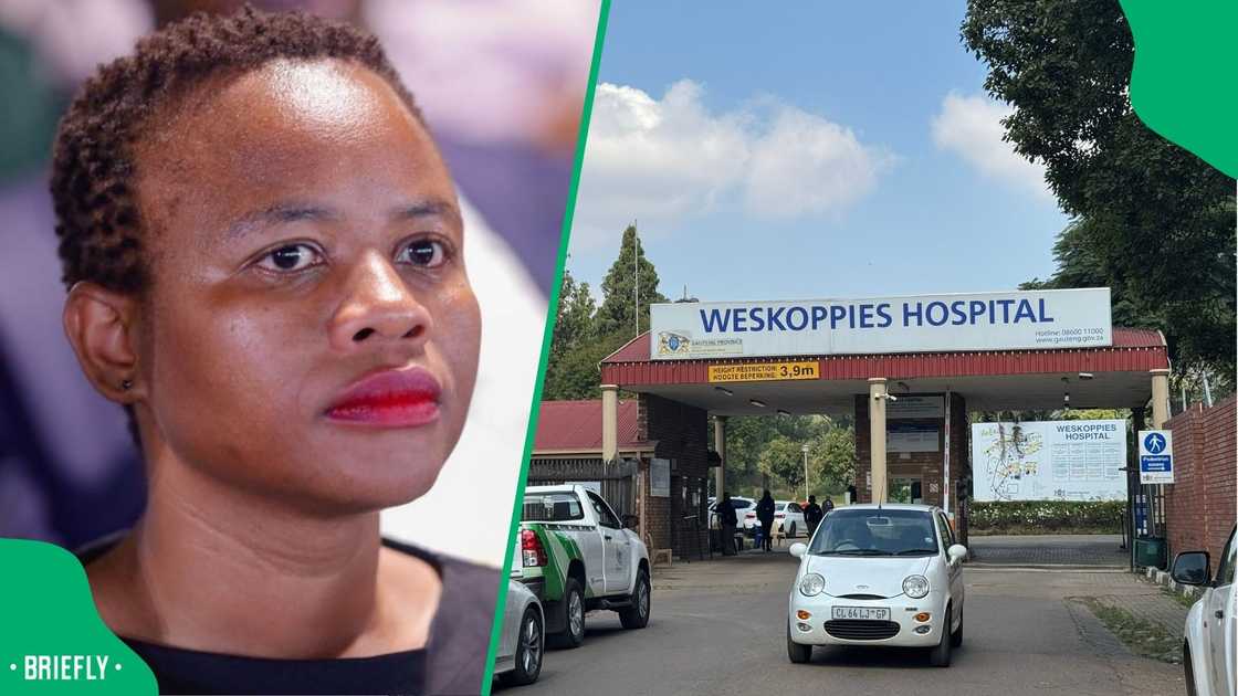Nasiphi Moya defended her actions for disconnecting Weskoppies Hospitals Nasiphi Moya defended her actions for disconnecting Weskoppies Hospitals
