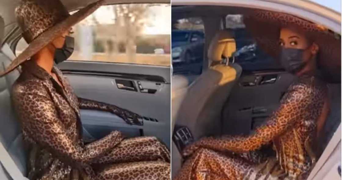 Mzansi, Miss Universe, Zozibini Tunzi, Fashion, Leopard print, Slaying, Social media, Video, Lusaka July, Zambia, Polo Club, Event Mzansi, Miss Universe, Zozibini Tunzi, Fashion, Leopard print, Slaying, Social media, Video, Lusaka July, Zambia, Polo Club, Event