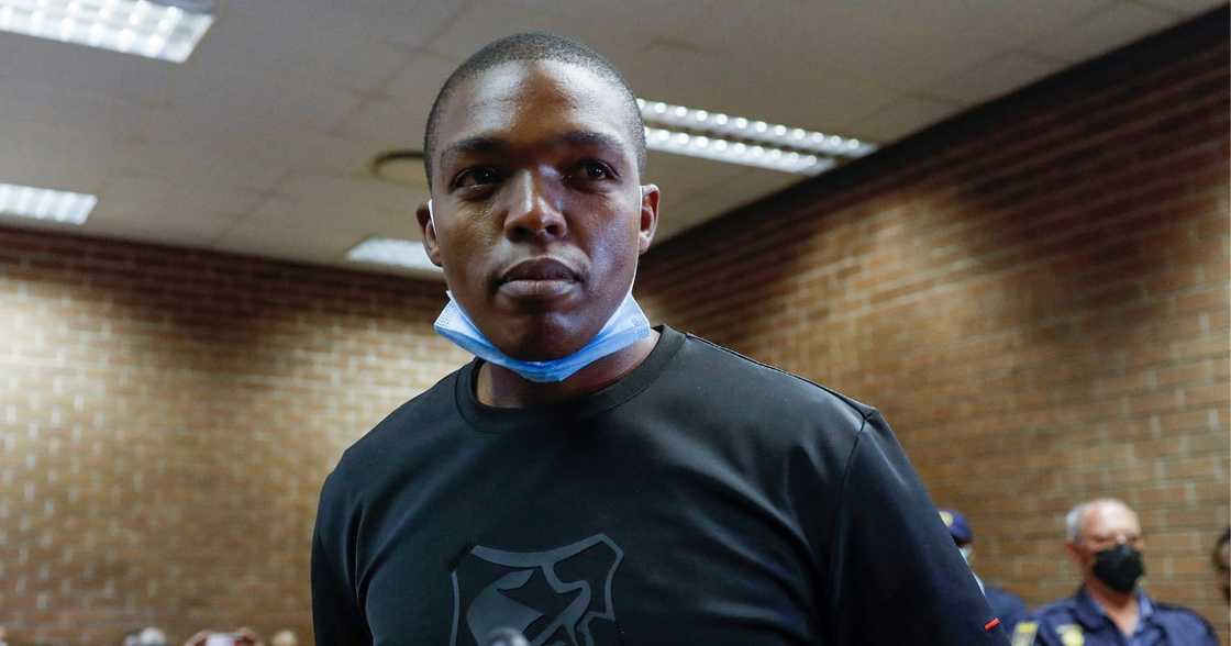 Nhlanhla Lux Dlamini, Operation Dudula, 2019 assault charge, 'caution and discharge' sentence, Meadowlands Magistrates Court Nhlanhla Lux Dlamini, Operation Dudula, 2019 assault charge, 'caution and discharge' sentence, Meadowlands Magistrates Court