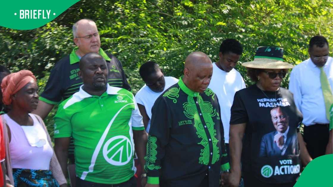 Lily Mine anniversary Lily Mine anniversary