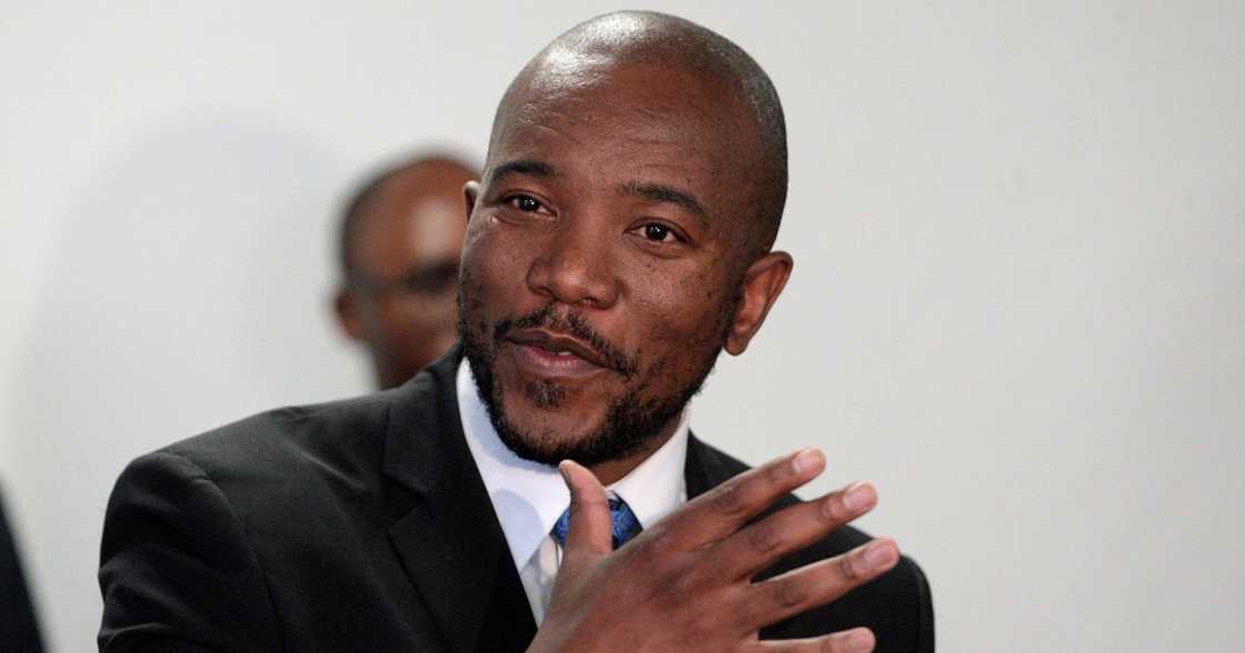 Mmusi Maimane Calls For A New Subject in Place of LO Called Critical Thinking and General Knowlegde