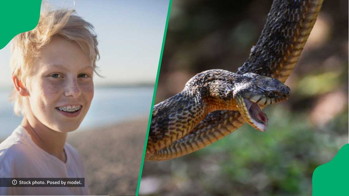 A boy in KwaZulu-Natal was bitten by a puff adder, and his mom shared photos of his hand.