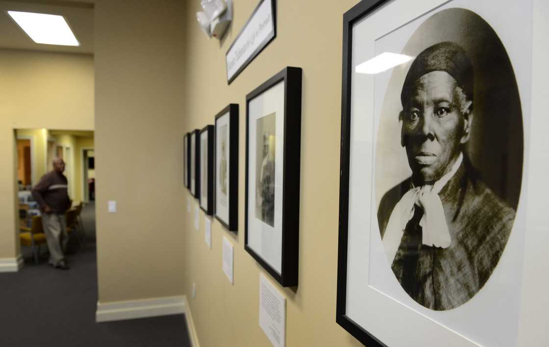 Harriet Tubman portraits Harriet Tubman portraits