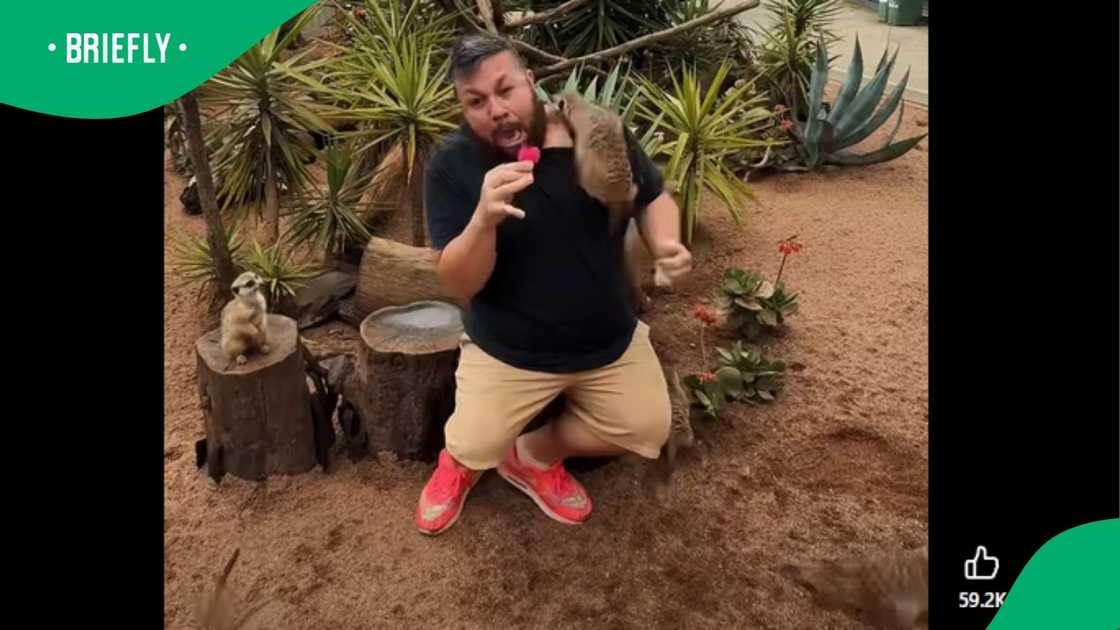 A video went viral on Facebook.