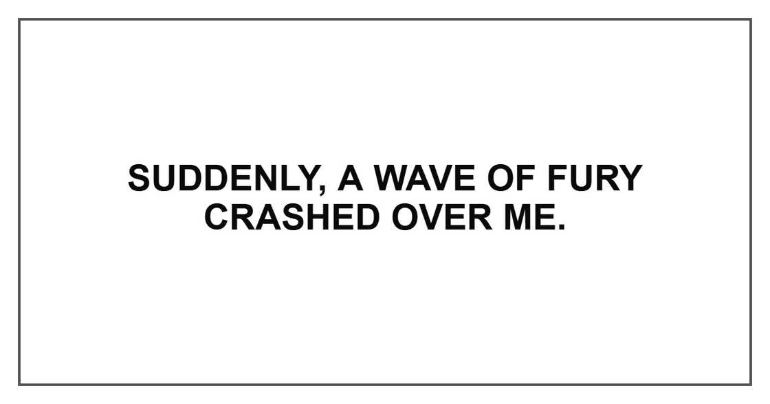 Suddenly, a wave of fury crashed over me.