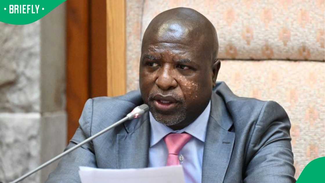 Parliament’s Ad Hoc Committee Chairperson, Soviet Lekganyane Parliament’s Ad Hoc Committee Chairperson, Soviet Lekganyane