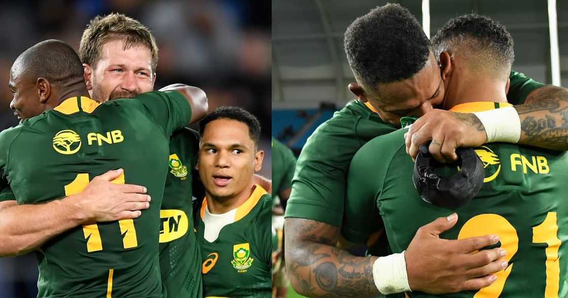 Springboks, All Blacks, Rugby, Sport