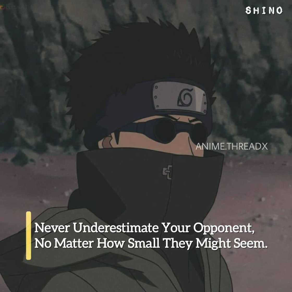 Popular anime quotes Popular anime quotes