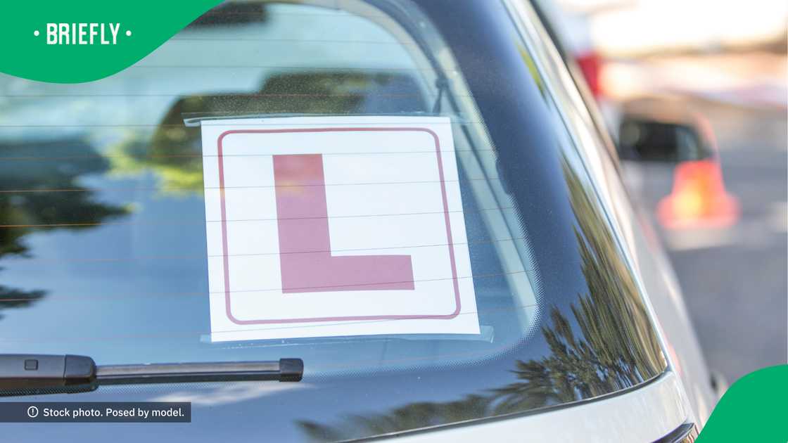 Mzansi shared their tales of driving anxiety. Mzansi shared their tales of driving anxiety.
