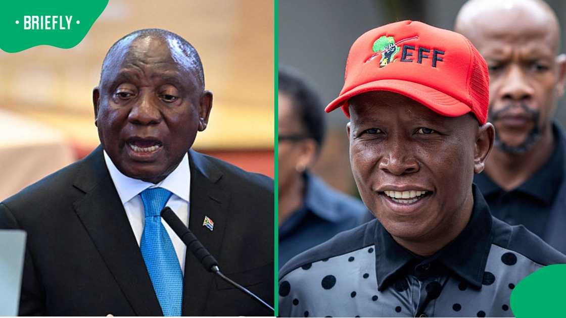 The Economic reedom Fighters president Julius Malema reacted to the date of the local government elections The Economic reedom Fighters president Julius Malema reacted to the date of the local government elections