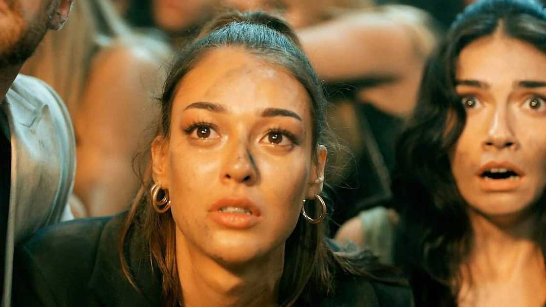 eExtra's new series Fenix eExtra's new series Fenix