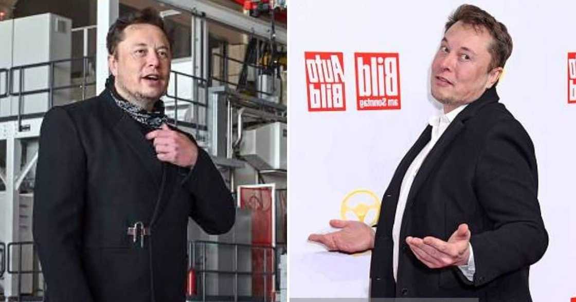 Elon Musk, Robots, Technology Elon Musk, Robots, Technology