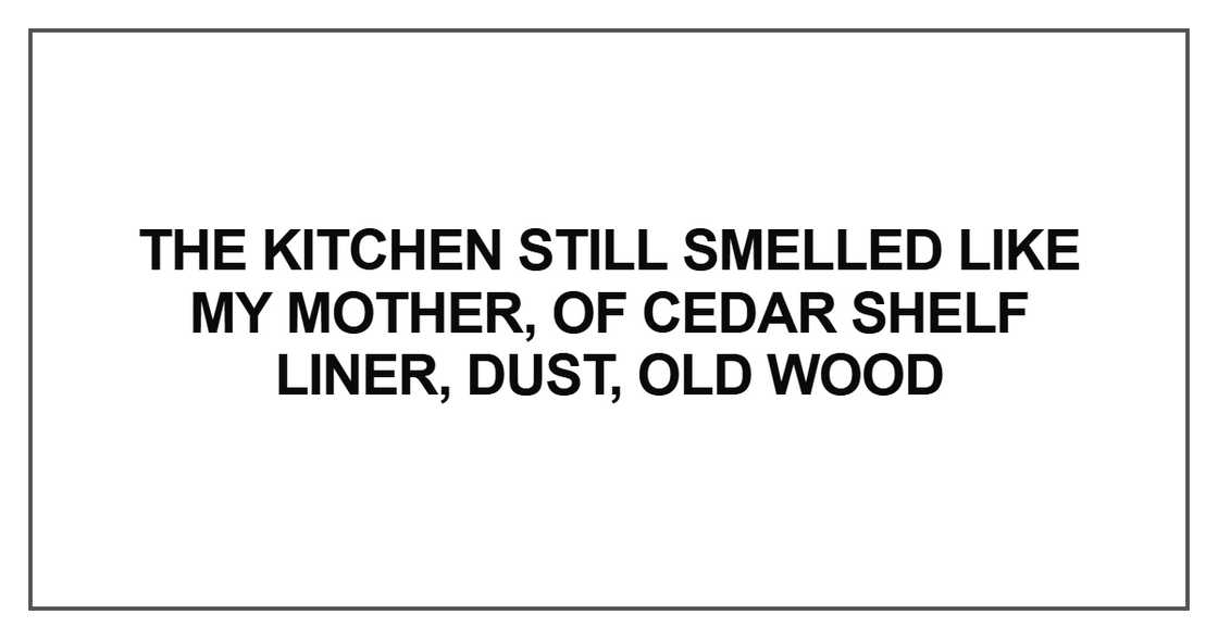 The kitchen still smelled