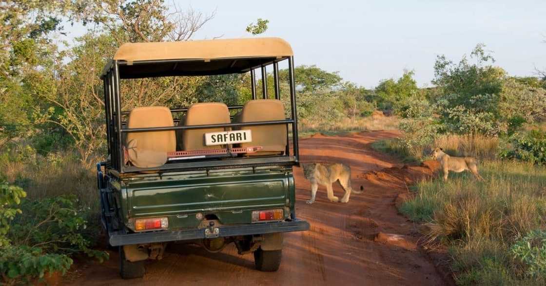 Mbombela shutdown, roads closed, visitors stuck, protest, fuel prices, Kruger National Park