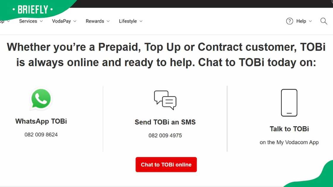 A screenshot of TOBi AI assistant page