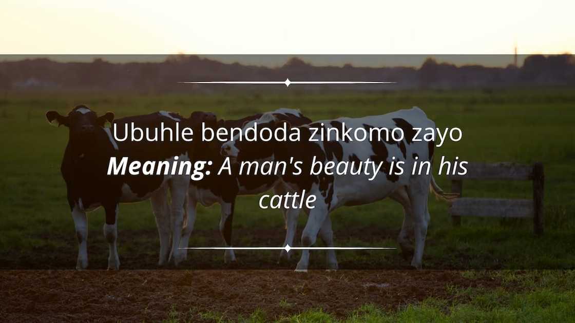 Inspirational Zulu Quotes 9 Zulu Quotes Ideas Quotes Zulu African inspirational-zulu-quotes-9-zulu-quotes-ideas-quotes-zulu-african