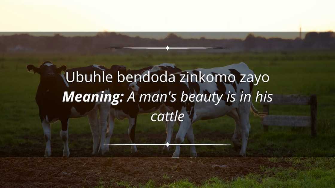 Zulu proverbs and quotes