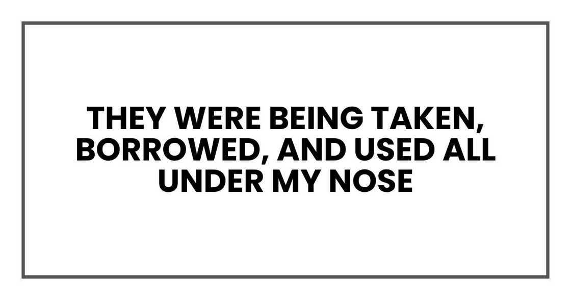 They were being taken, borrowed, and used all under my nose They were being taken, borrowed, and used all under my nose