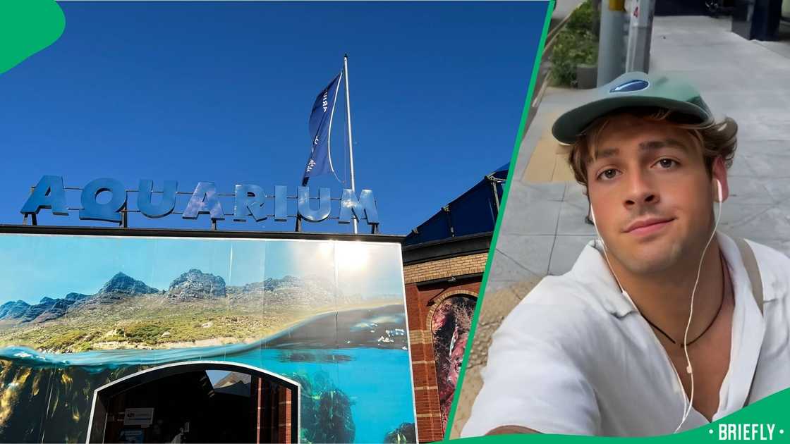 A tourist made false claims about an aquarium. A tourist made false claims about an aquarium.