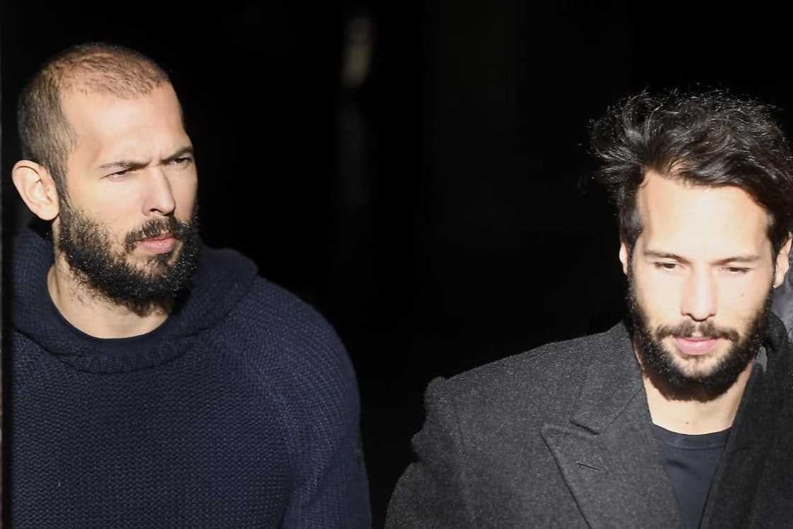 Andrew Tate's brother Andrew Tate's brother