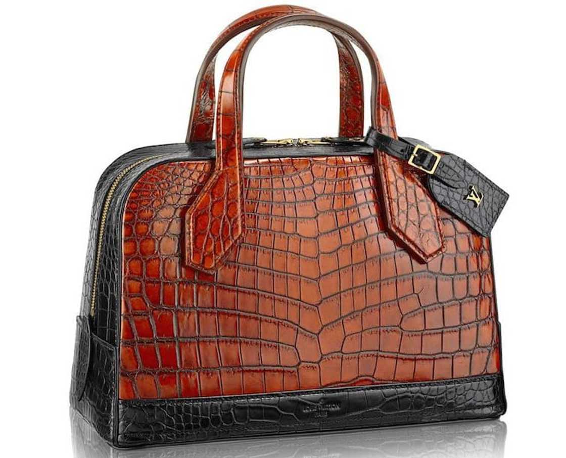 Top 10 list of Louis Vuitton's most expensive bags in 2023