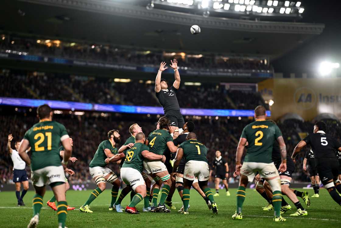 Springboks, South Africa, All Blacks, New Zealand