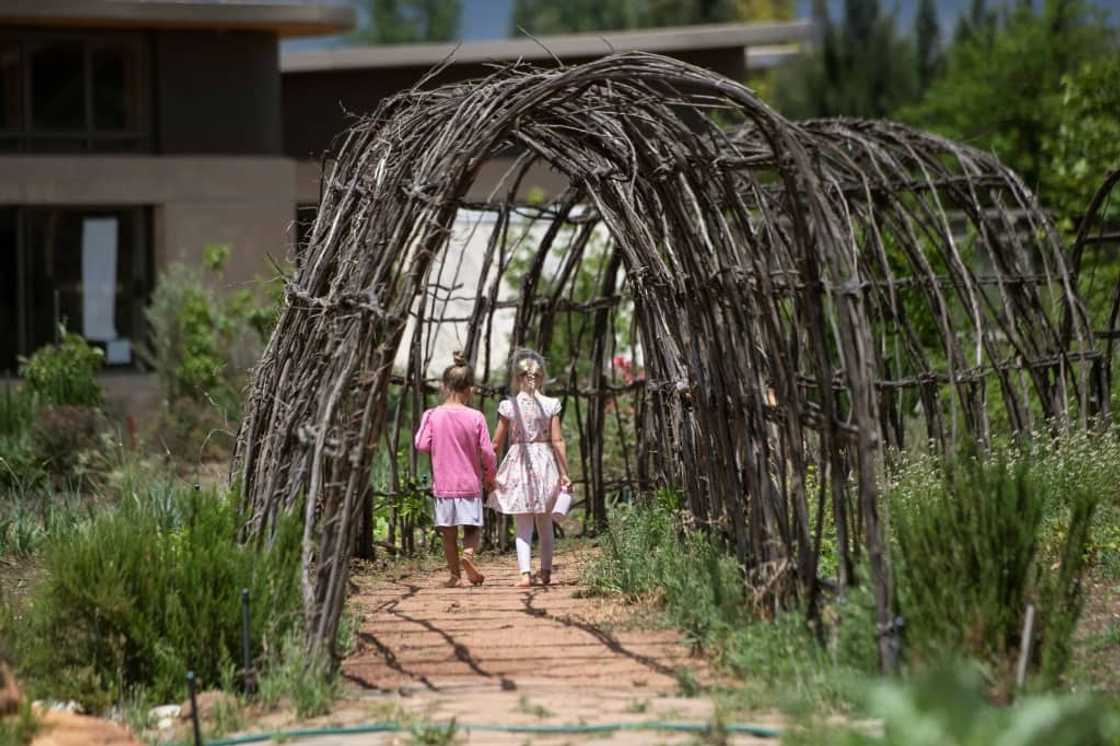 The school grounds boast playgrounds with swings, huts and sandboxes, while the canteen's zero-waste kitchen serves only vegetarian meals