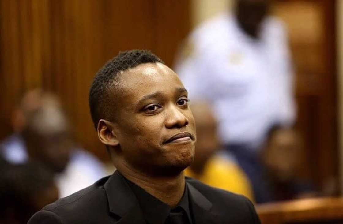 Duduzane Zuma, Jacob Zuma, Legal fees, pay, SA demands, Twitter reactions Duduzane Zuma, Jacob Zuma, Legal fees, pay, SA demands, Twitter reactions