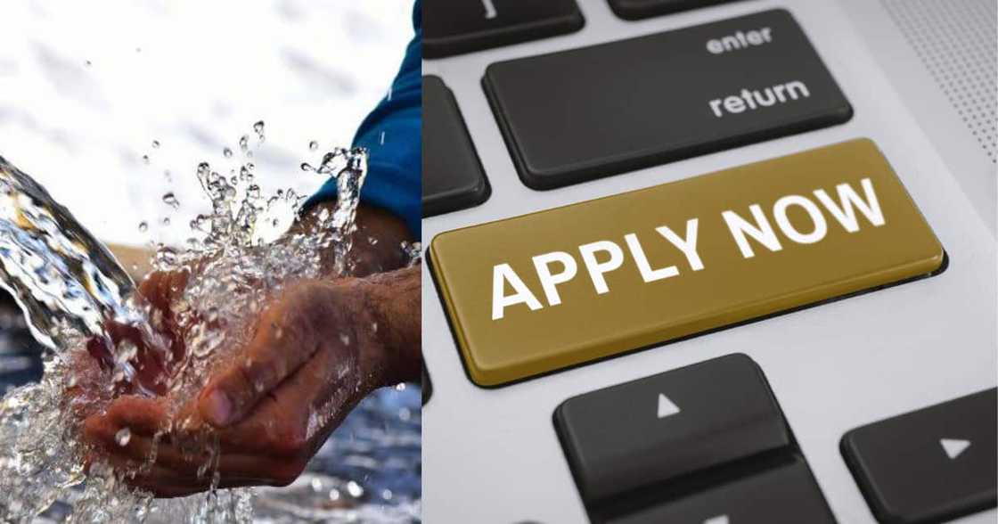 License department License department