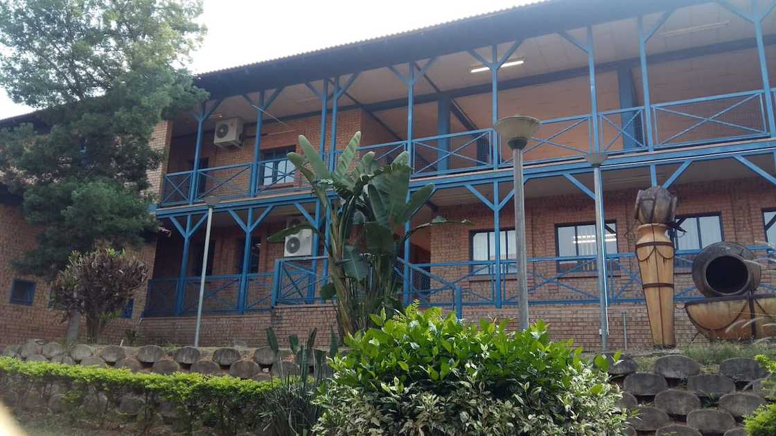 Mpumalanga College of Nursing Mpumalanga College of Nursing