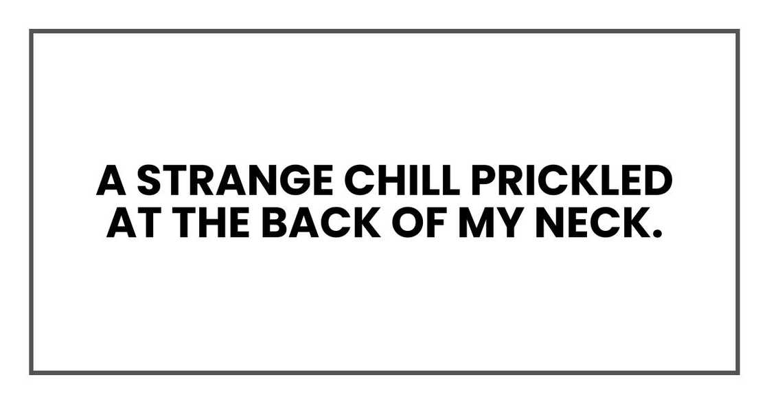 A strange chill prickled at the back of my neck.