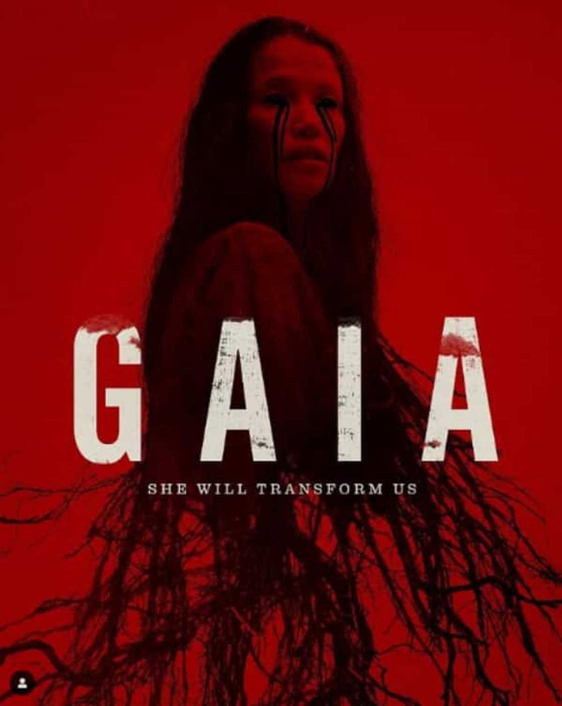 Monique Rockman bio: All you need to know about the South African actress Monique Rockman bio: All you need to know about the South African actress