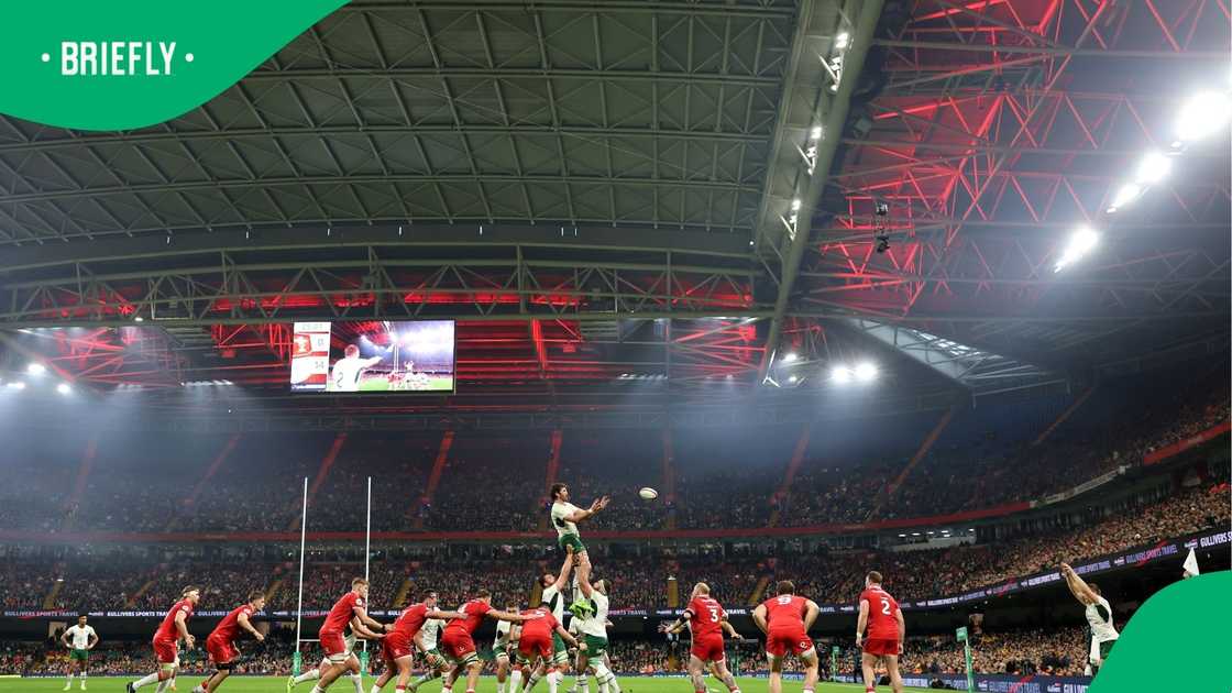 Springboks, Ruan Nortje, Quilter Nations Series 2025, Wales, South Africa Springboks, Ruan Nortje, Quilter Nations Series 2025, Wales, South Africa