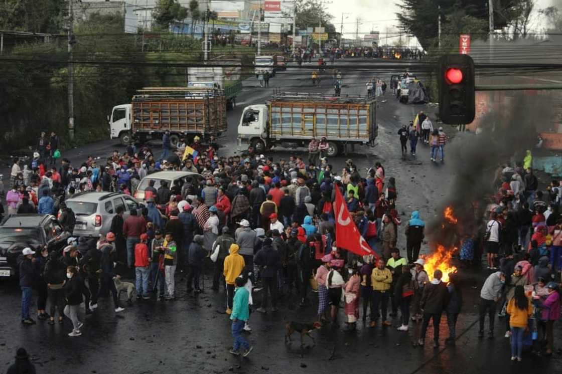 The Indigenous protestors are demanding cheaper fuel and food price controls The Indigenous protestors are demanding cheaper fuel and food price controls