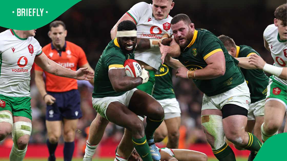 Siya Kolisi is expected to carry on as Springbok captain.