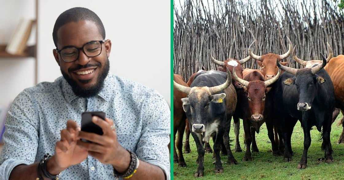 South Africans laughed when a man from the Free State was robbed of his lobola money South Africans laughed when a man from the Free State was robbed of his lobola money