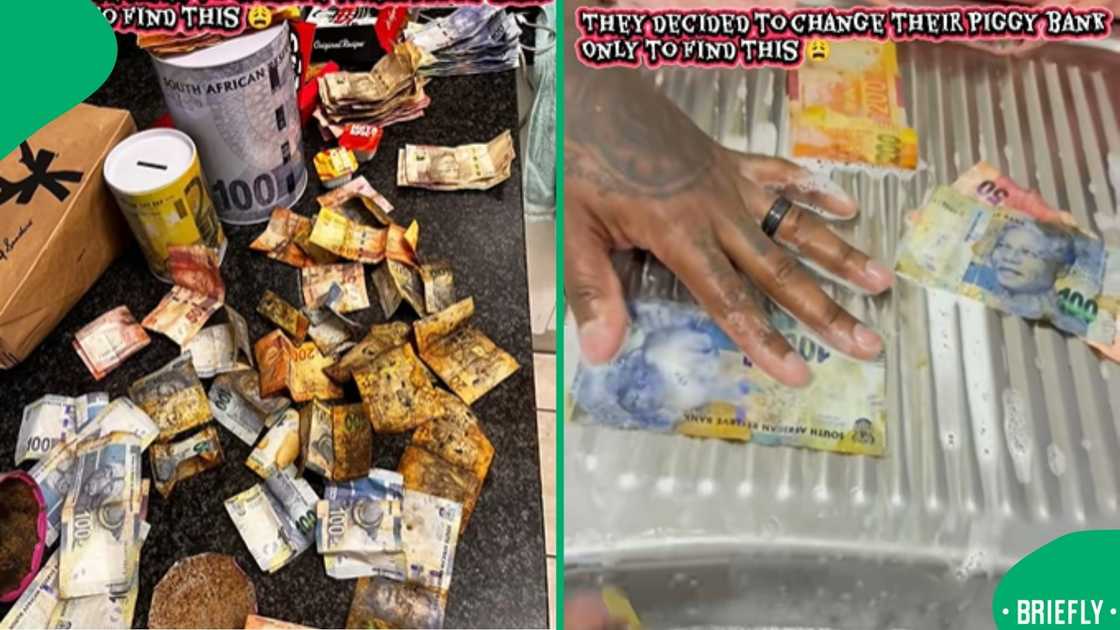 A close-up of wrinkled and brownish cash, highlighting the effects of moisture and rust inside a piggy bank tin