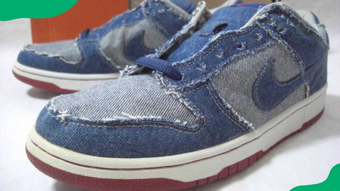 Nike SB Dunk Low "Reese Forbes Denim"